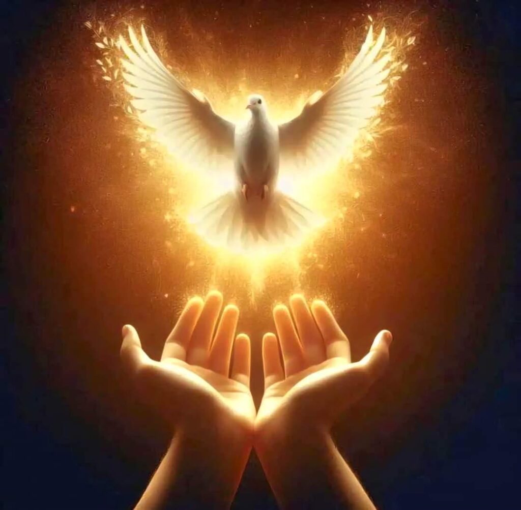 SESSION 3-INNOCENCE VERSUS POWER - THE WHITE PIGEON